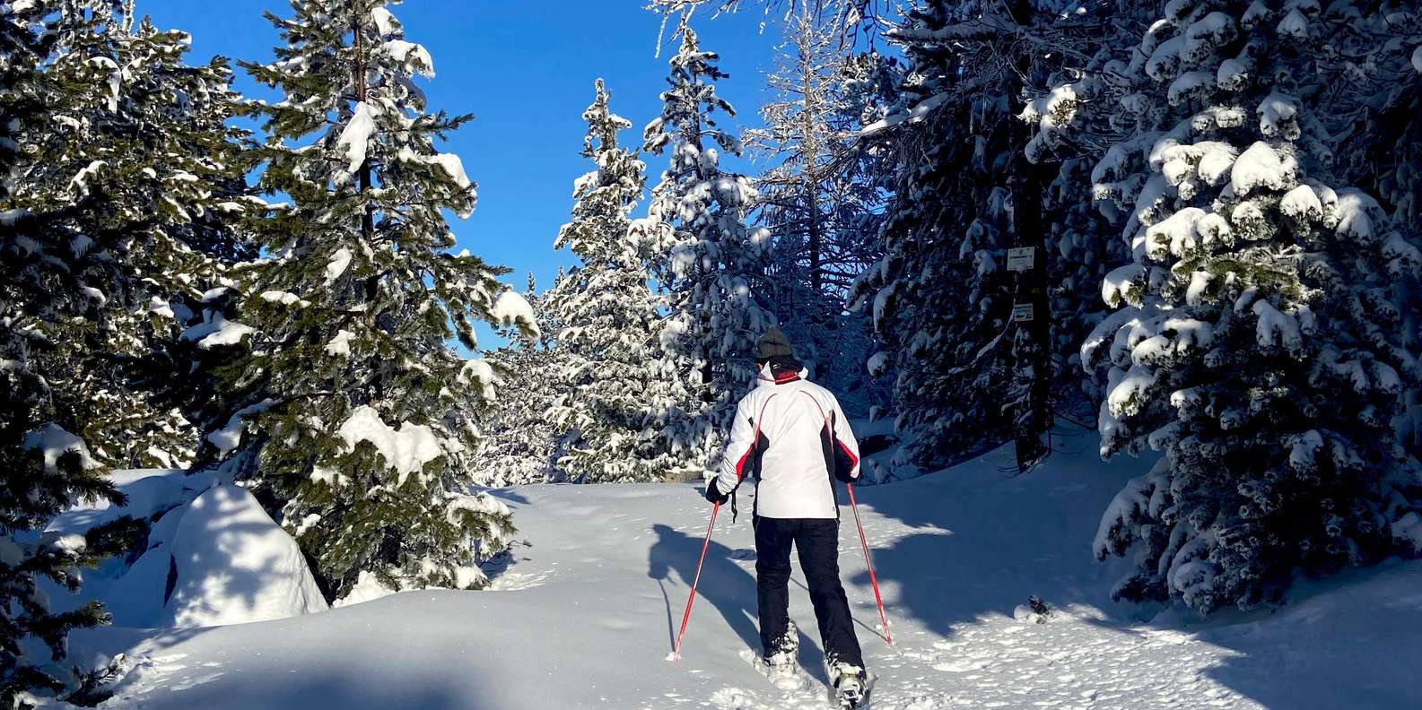 Hiking Cypress Snowshoe Map Cypress Snowshoe Pass Snowshoeing On