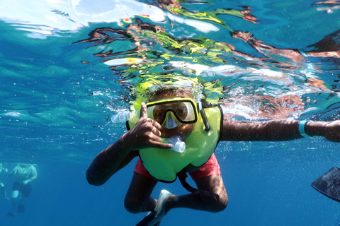 Luxury Sunset Cruise, Snorkeling, Dolphin Watch, & Buffet Oahu: Private Sunset Snorkel & Dolphin Watch with Dinner