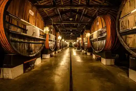 Marsella: Visita a la Casa Noilly Prat