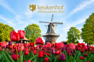 Da Rotterdam: tour in autobus di lusso con biglietto per Keukenhof