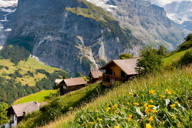 Från Zürich: Interlaken och Grindelwald privat dagstur