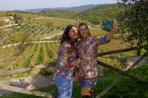 De Florence: visite privée d'une demi-journée du Chianti et dégustation de vins