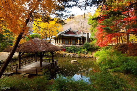 Hwaseong fästning+Koreansk folkby+Starfield bibliotek TurHongik Univ. Station