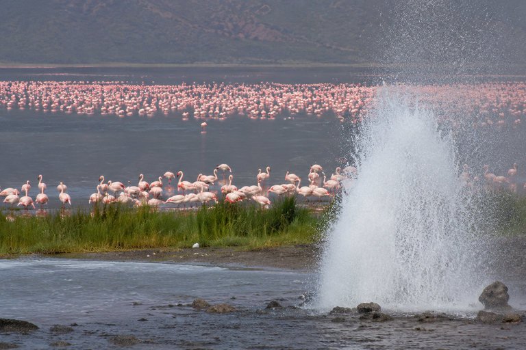 Nairobi: 3 days Lake bogoria, baringo & nakuru private tour