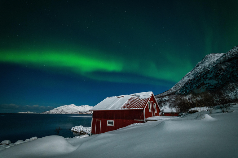 Remote Arctic Fjord Expedition to Grøtfjord & Rekvik