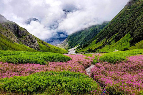 Da Delhi: Trekking di 4 giorni nella Valle dei Fiori con trasferimentiSolo auto con autista