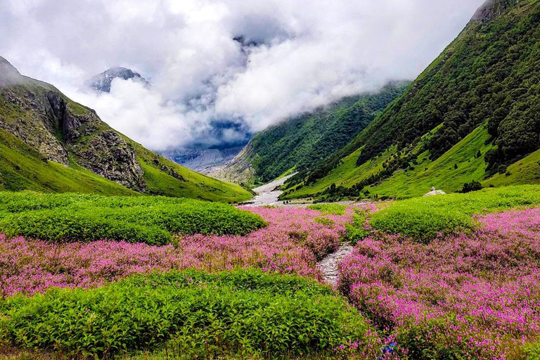 Da Delhi: Trekking di 4 giorni nella Valle dei Fiori con trasferimentiSolo auto con autista