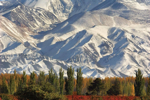 Circuit « Route des vins de Mendoza »Circuit œnologique dans la région de Mendoza