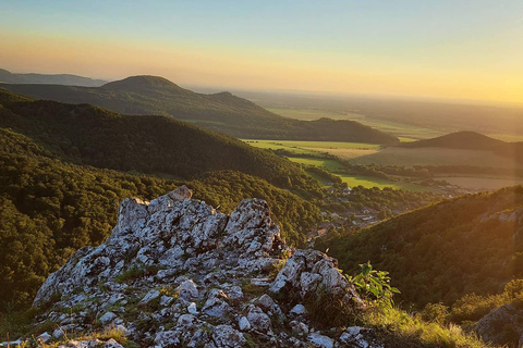 From Vienna: Bratislava & Countryside Guided Half Day Tour Private Tour