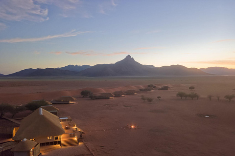 From Windhoek: 6-Day Namibia Safari with Lodging & Meals