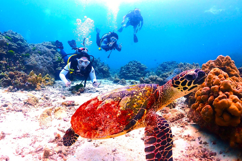 Phuket: 2 Racha Islands, Snorkeling from Yacht, Full-Day Hotel Transfer Available