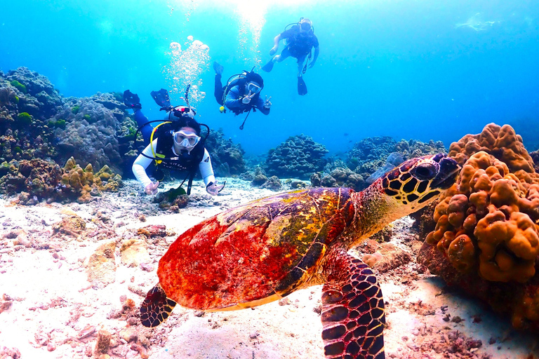 Phuket: 2 Racha Islands, Snorkeling from Yacht, Full-Day Hotel Transfer Available