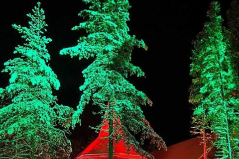 Rovaniemi: SantaPark All-Day Adventure with Lunch