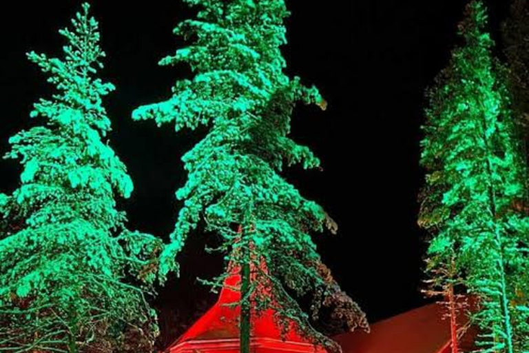 Rovaniemi: SantaPark All-Day Adventure with Lunch