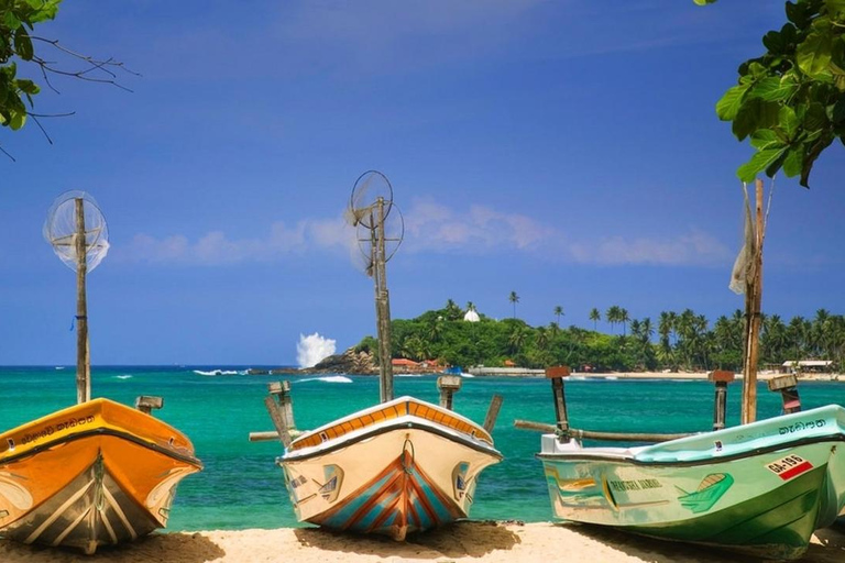 从科伦坡出发：卡丁车、加勒堡和水上运动之旅From Colombo: Go-Karting, Galle Fort and Water Sports Tour