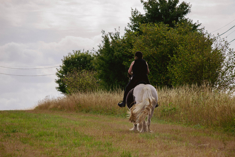 Pembrokeshire: Horseback Riding Through Forest & Hills 1-Hour Horseback Riding Through Forest & Hills