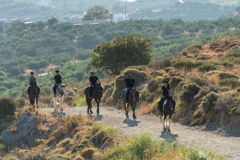 Crète : Excursion à cheval dans le panorama de Plakias