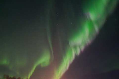 Abisko: Aurora Night & Swedish Glögg - Snowshoe Experience