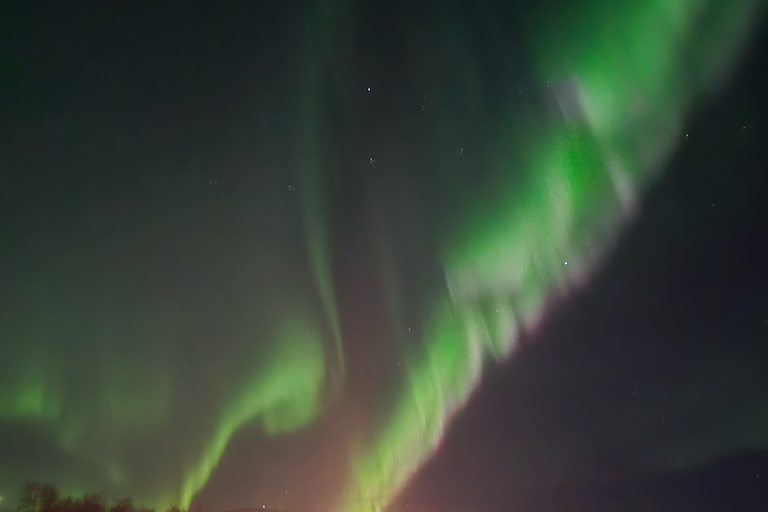 Abisko: Aurora Night & Swedish Glögg - Snowshoe Experience