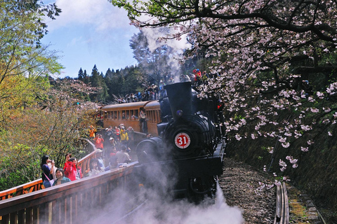 From Taipei: Private 3-Day Tour to Sun Moon Lake and Alishan Premium Hotels | Solo Traveler