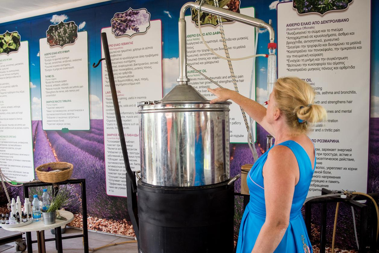 Cypern: Läkande örter och labyrint i Cyherbia Botanical Park