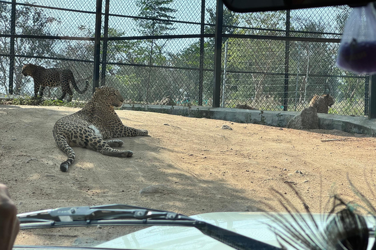 Safari en Jeep por la Vida Salvaje en Bannerghatta con Traslado Privado