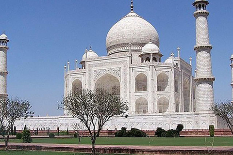 De Délhi: Tajmahal Sunrise e Agra Day Tour em carro particularTour com carro Ac + refeições + ingressos para monumentos + guia de turismo