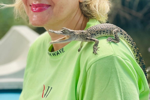 Colombo: Bentota Mangrove River Safari 6-8 Hour Tour