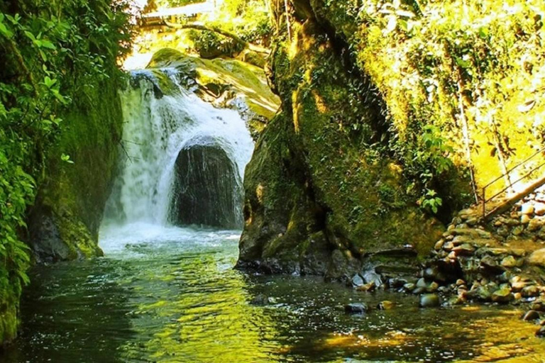 Z Quito: Mindo Cloud Forest, 1-dniowa wycieczka z lunchem