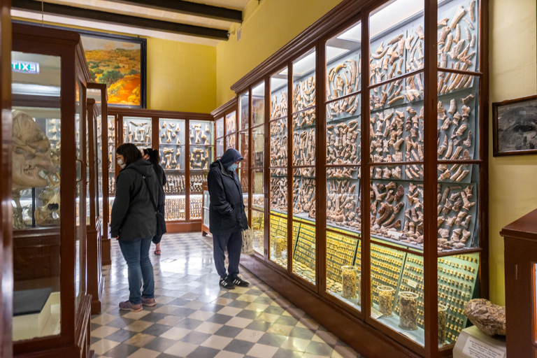 马耳他史前寺庙之旅