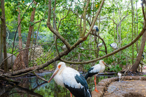 Entdecke den faszinierenden Nationalen Vogelpark auf der Isla Baru Cartagena