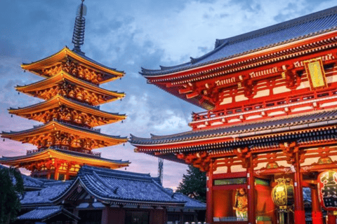 Tokyo Full Day Private Customizable Tour with Guide