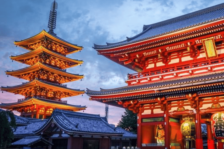 Tokyo Full Day Private Customizable Tour with Guide