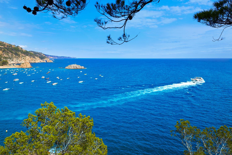 Nizza: Passeggiata express con un abitante del luogo in 60 minutiNizza: 90 minuti di passeggiata con un locale