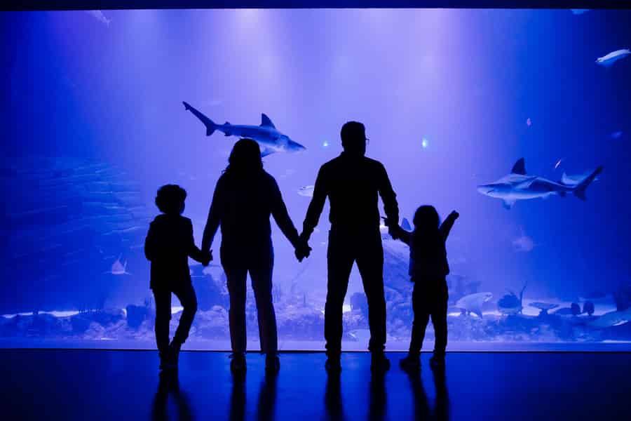 Madrid: Atlantis Aquarium Eintrittskarte. Foto: GetYourGuide Madrid: Atlantis Aquarium Eintrittskarte. Foto: GetYourGuide