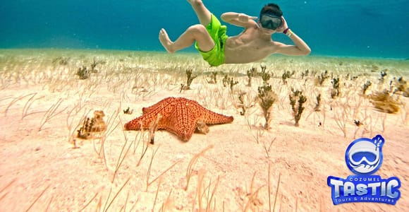 Cozumeltastic: Snorkel en Palancar Tortugas, Cielo y Cielito