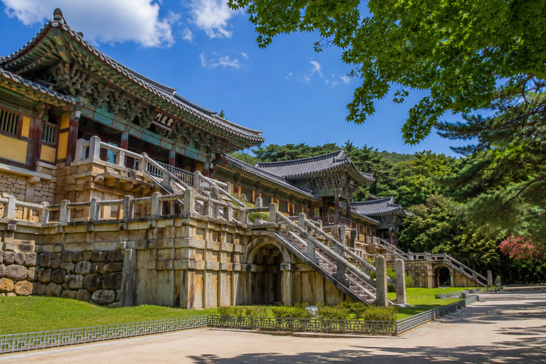 Gyeongju: UNESCO & Heritage Private Custom Tour w/guide