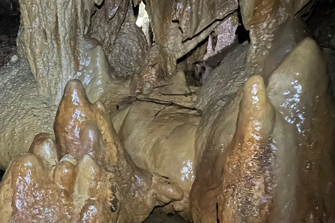 From Manila: Cavinti Cave Adventure Tour with Guide