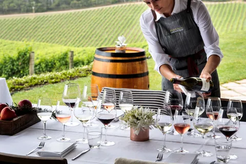 Barossa: Wine Tour with Lunch & Premium Wine Tasting