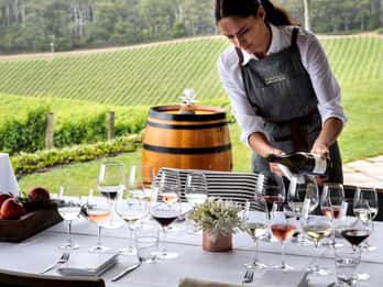 Barossa: Wycieczka w małej grupie, lunch i degustacja wina premium