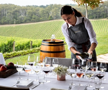 Barossa: Wine Tour with Lunch & Premium Wine Tasting
