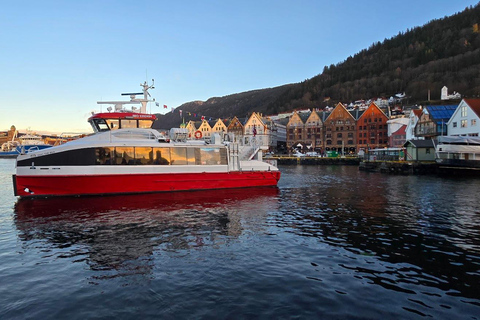 Bergen: rejs po fiordzie Mostraumen, góra Fløyen, zwiedzanie miasta