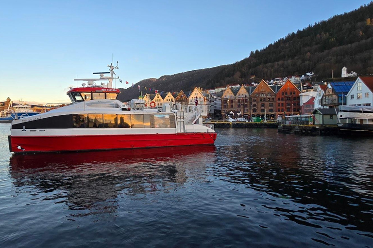 Bergen: rejs po fiordzie Mostraumen, góra Fløyen, zwiedzanie miasta