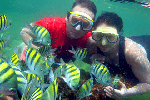 Santa Marta: Taganga Beach Snorkeling Tour with Transfer