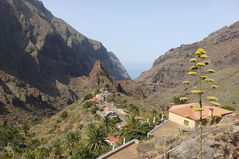Tenerife: Masca, Los Gigantes & Natural Pools + Picnic Tour with Pick-up and Drop-off at your Hotel (South)
