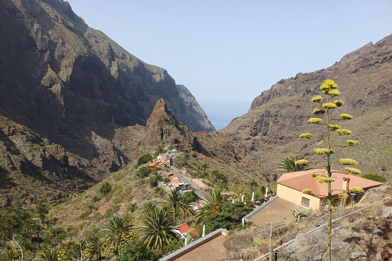 Tenerife: Masca, Los Gigantes & Natural Pools + Picnic Tour with Pick-up and Drop-off at your Hotel (South)