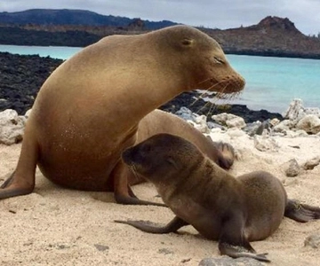Excursão de 10 dias a Machu Picchu e Ilhas Galápagos