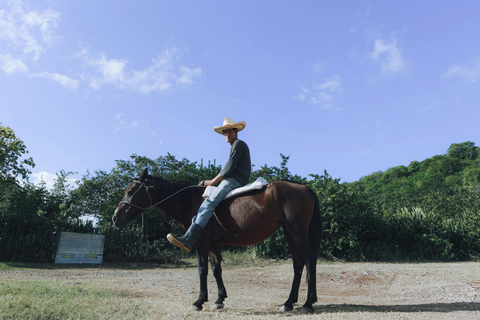 San Ignacio: Jungle & Riverside Horseback Riding Tour