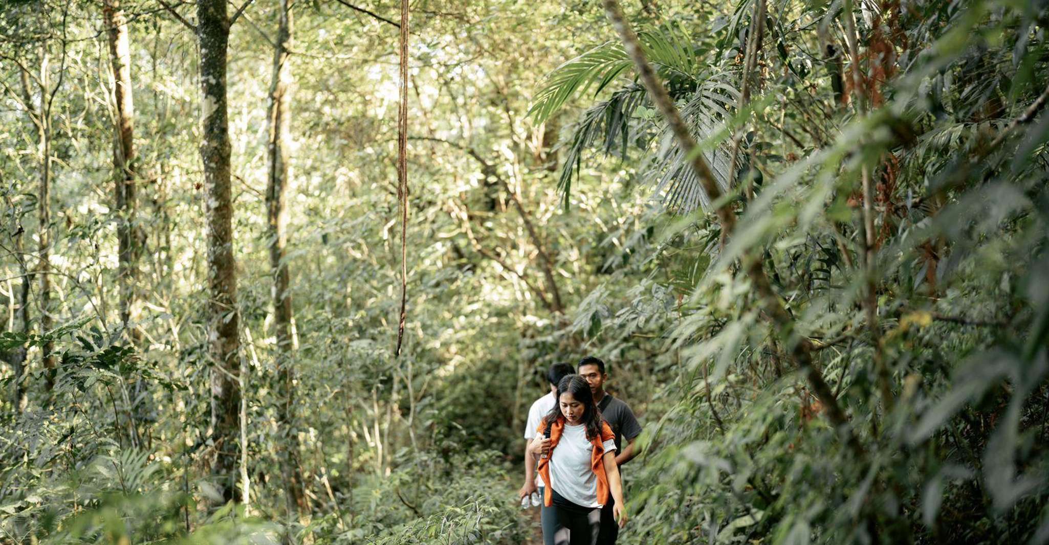 Munduk, la selva tropical Tamblingan Lake Trekking & Panoeing - Housity