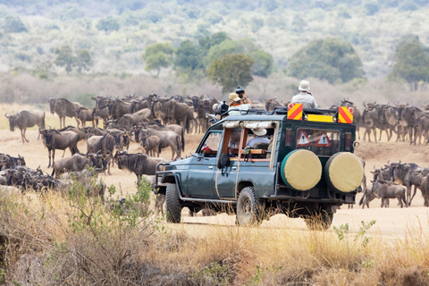 4 Days Masai Mara and Lake Nakuru Budget Safari on 4x4 Jeep